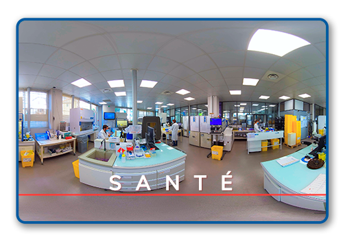 SANTE
